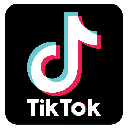 Tiktok logo